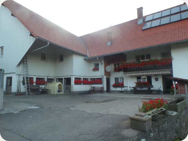 Homepage Werner rund